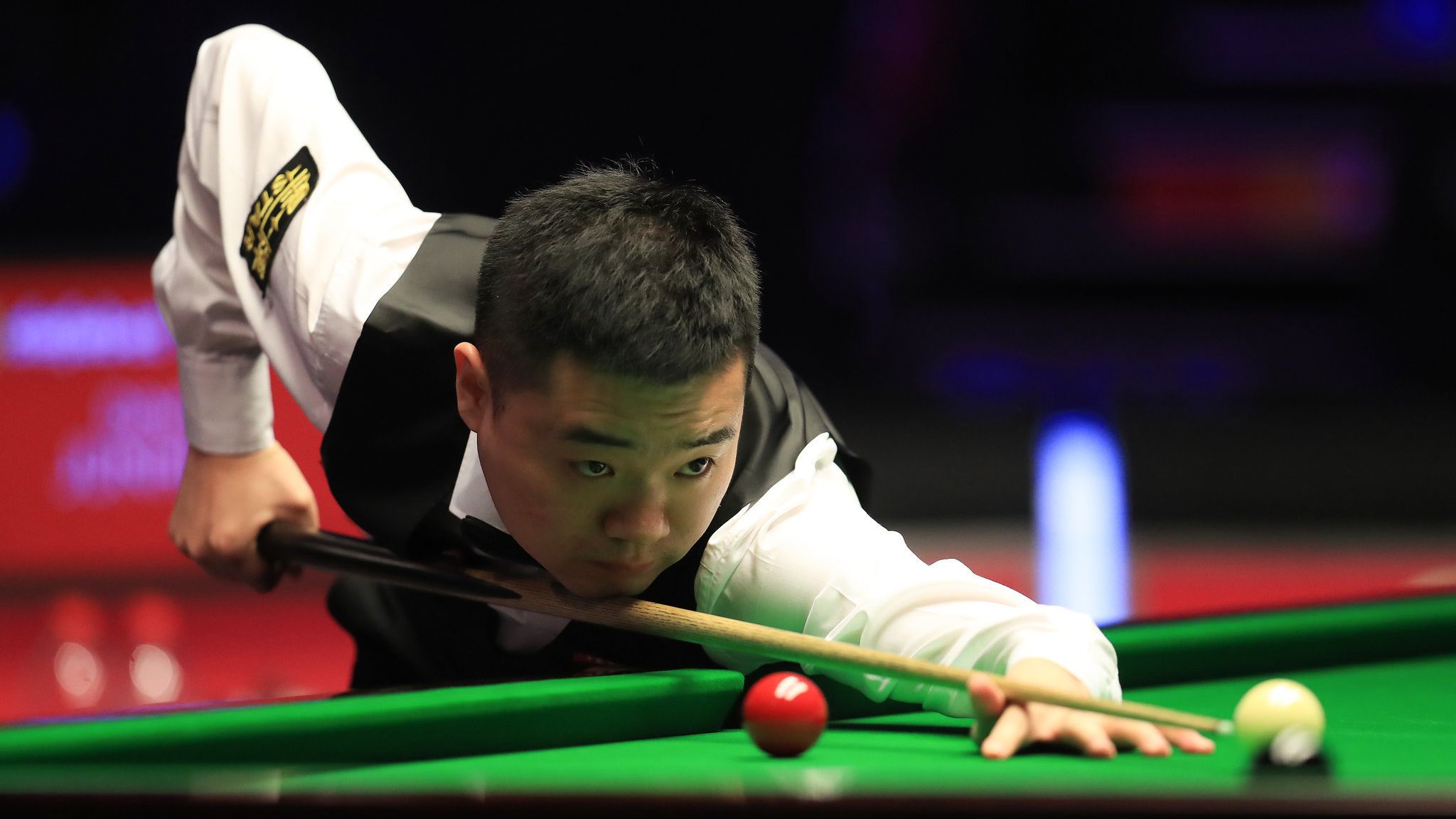 希望每周都 希望每周都